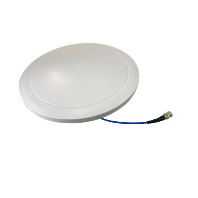 Antenna interna 698