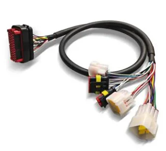 Produttore OEM di cavi elettrici personalizzati per cablaggio per veicoli